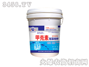 �ך��غ��徫�-��(y��u)��-�������� 