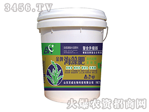 �����-����-�������L(f��ng)