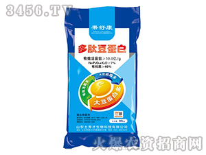 ���Ķ�����-���濵-�����