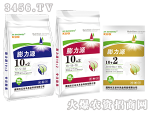 ����Դ�ײͷ�-�Ҷ���-����S