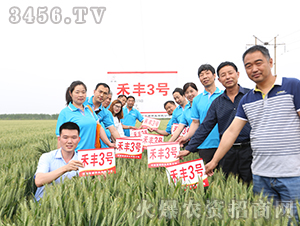 ���S3̖������