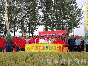 ���S3̖������