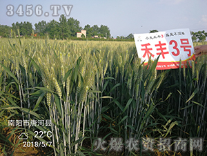 ���S3̖���ģ�