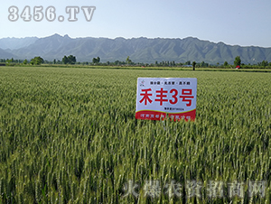 ���S3̖���ˣ�