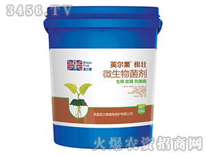 ΢�������-Ӣ��������-Ӣ����