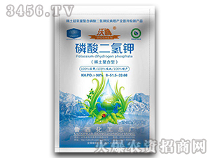 ��ꖌ�ϵ����������1000g-����-��������