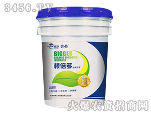 ������-�̸�-�ɭ