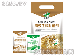 �~���-��Ч�������焩-�����_�r(n��ng)