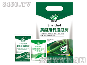 �~���-�S����ֱ�����`-�����_�r(n��ng)