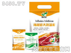 �~���-������������-�����_�r(n��ng)