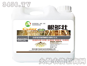 ��������ˮ�ܷ���-������-�W��ɭ