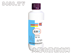 ���w�V-Ӣ��(gu��)�W��ɭ