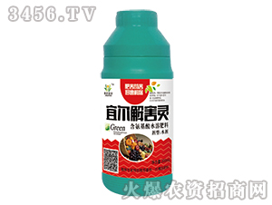 �ˠ��⺦�`-���_�ˠ�-�����_�r(n��ng)