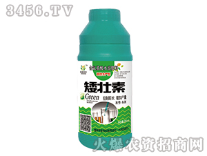 ������-���_�ˠ�-�����_�r(n��ng)