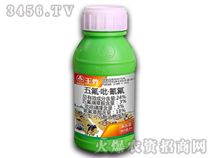 24%������������-��ը-�к����_