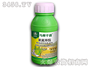 40%�������-�R��ǧ��-�к����_