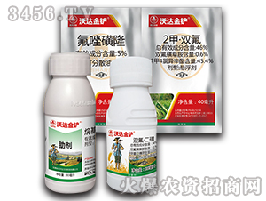 С������݄��M�����b-���_(d��)���P-�к����_(d��)