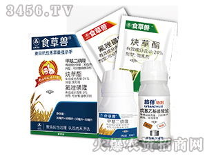 С������݄��M�����b-ʳ�ݫF-�к����_(d��)