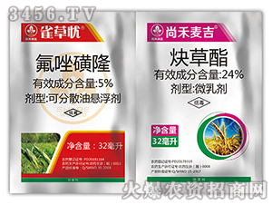 С������݄��M�����b-�к�����-�к����_(d��)