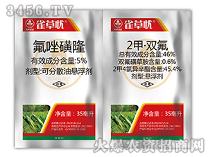 С������݄��M�����b-ȸ�ݑn-�к����_(d��)