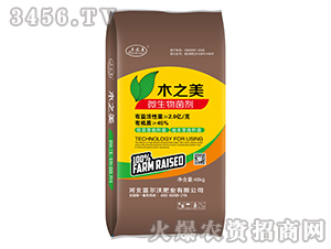 2�|΢�������-ľ֮��-������