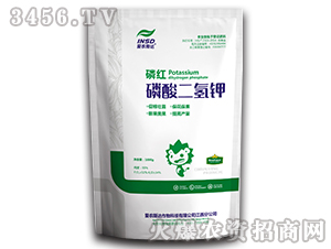 1000g��������-�׼t-��(��i)�r(n��ng)˹�_(d��)