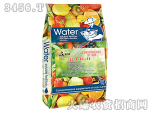 ����Ԫ��ˮ�ܷ���12-8-30+TE-����