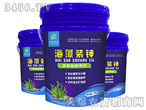 �����b�-��ɭ�r(n��ng)��