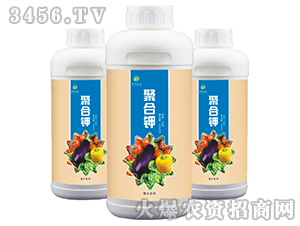 �ۺ��-��ɭ�r(n��ng)�� 