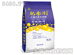 ����Ԫ��ˮ�ܷ�20-20-20+TE-�ʽ���-��ɭ�r(n��ng)��