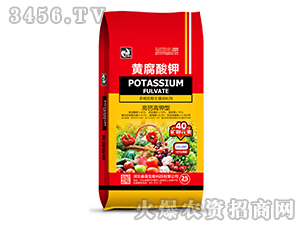 �S����⛶�S�����������-�����t-����