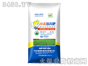 С�������-�����t-��������