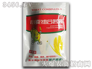 С���M���ײ�-����