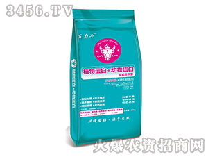 ֲ�ﵰ��+��(d��ng)�ﵰ��΢�������-����ţ-��ķɳ