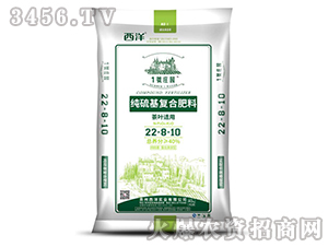 ������ͺϷ���22-8-10�����~�m�ã�-1̖�f�@-���󌍘I(y��)