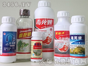 40%����������-����