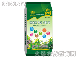 ø���(d��ng)�����ЙC(j��)��-���𻯹�