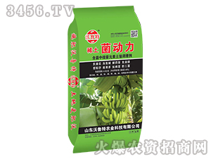 ϡ�����������㽶���ã�-������