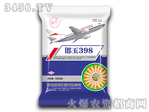 ����398-���׷N��-��ʯ�N�I(y��)