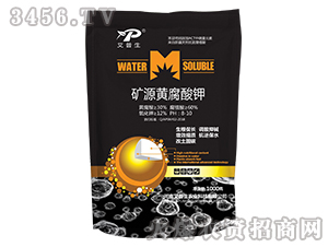 �VԴ�S�����-������