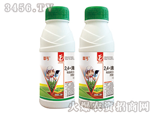 2��4-�ή�����-��ؤ-ͬ�S����