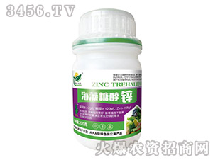 �����Ǵ��\-�����_(d��)�r(n��ng)-�����f(w��n)��