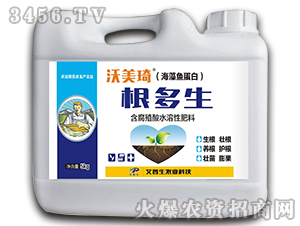 �����~���׸�����-������-������