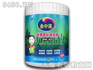 ̼ø���ĺ��徫-������-������