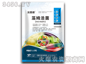 ��ķ���΢�������-������-������