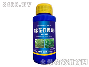 �޻���프�-��̩���