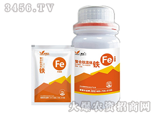 ���������w�F-�ڼژ�(l��)