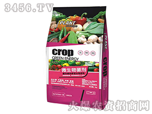 ΢�������-�Z����