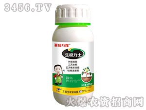 ������ʿ-ϲ�R�f��-������