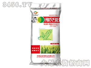 ԥ�r98-С���N��-�h���N�I(y��) 